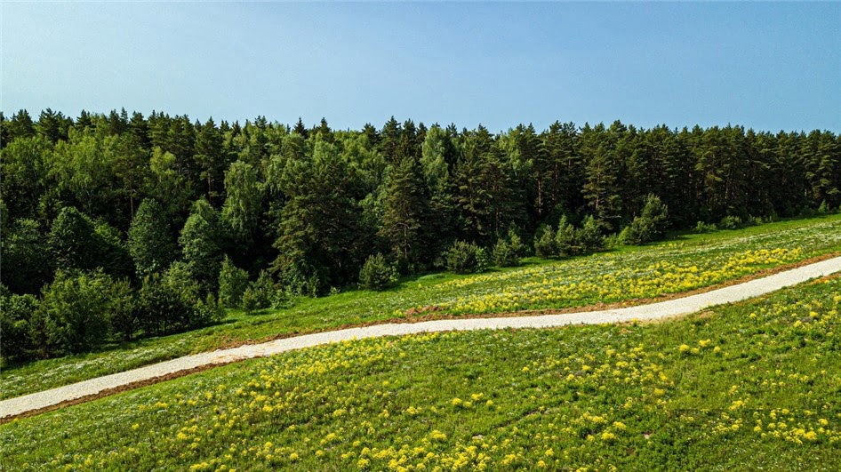 Коттеджный поселок «GREEN RIVER»