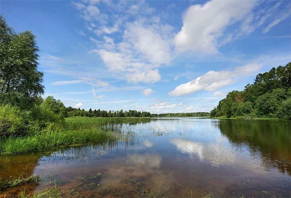 Коттеджный поселок «Lake Side (Лэйк Сайд)»