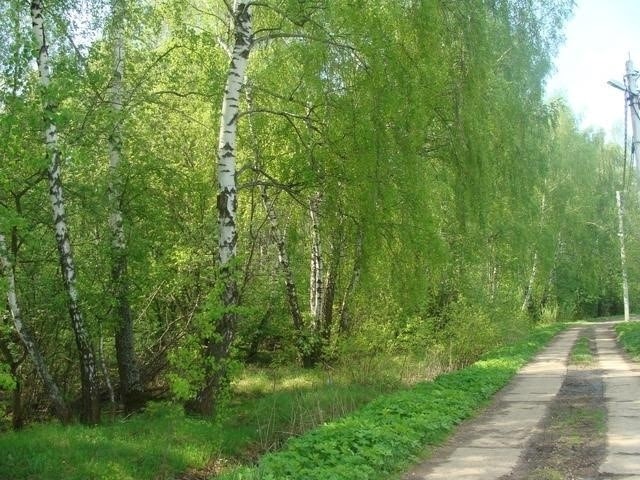 Коттеджный поселок «Легенда» фото