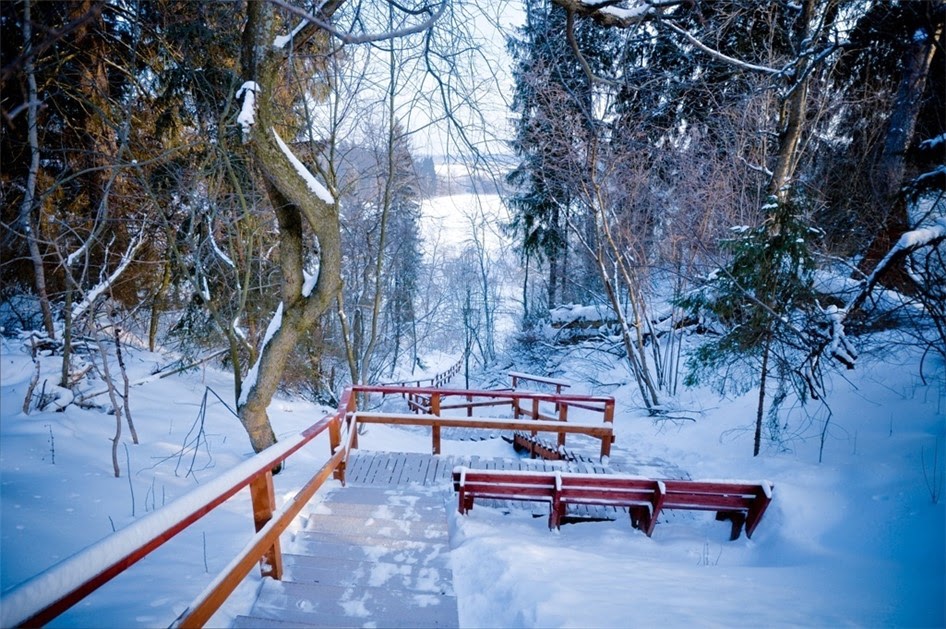 Коттеджный поселок «Подколокольный»