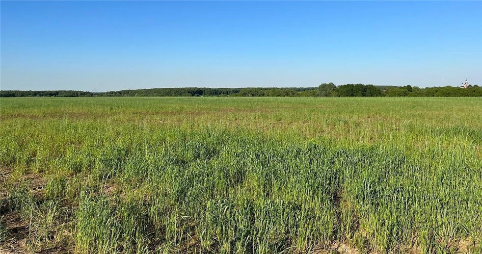 Коттеджный поселок «Рублево» фото