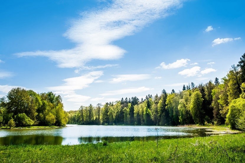 Коттеджный поселок «Shelkovo River»