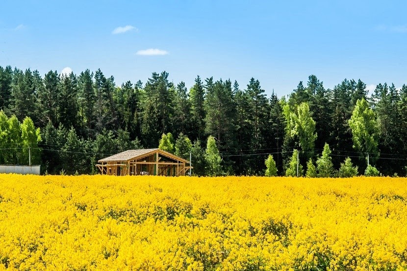 Коттеджный поселок «Shelkovo Village»