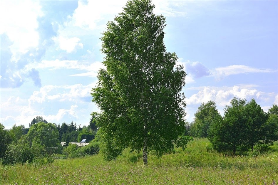 Коттеджный поселок «Скрепящево»