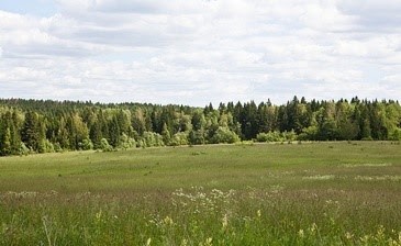 Коттеджный поселок «Степановское» фото