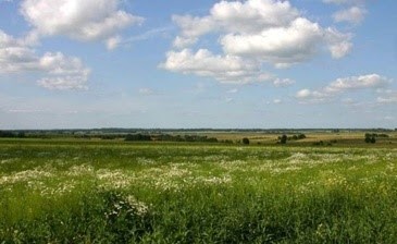 Коттеджный поселок «Уэльс» фото