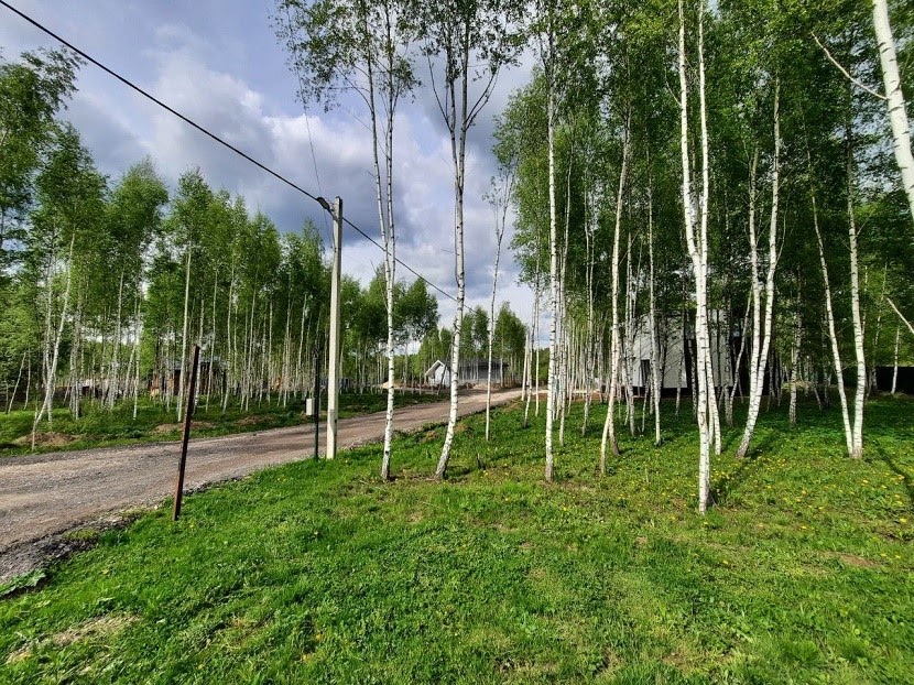 Коттеджный поселок «Взгорье-лайф» фото