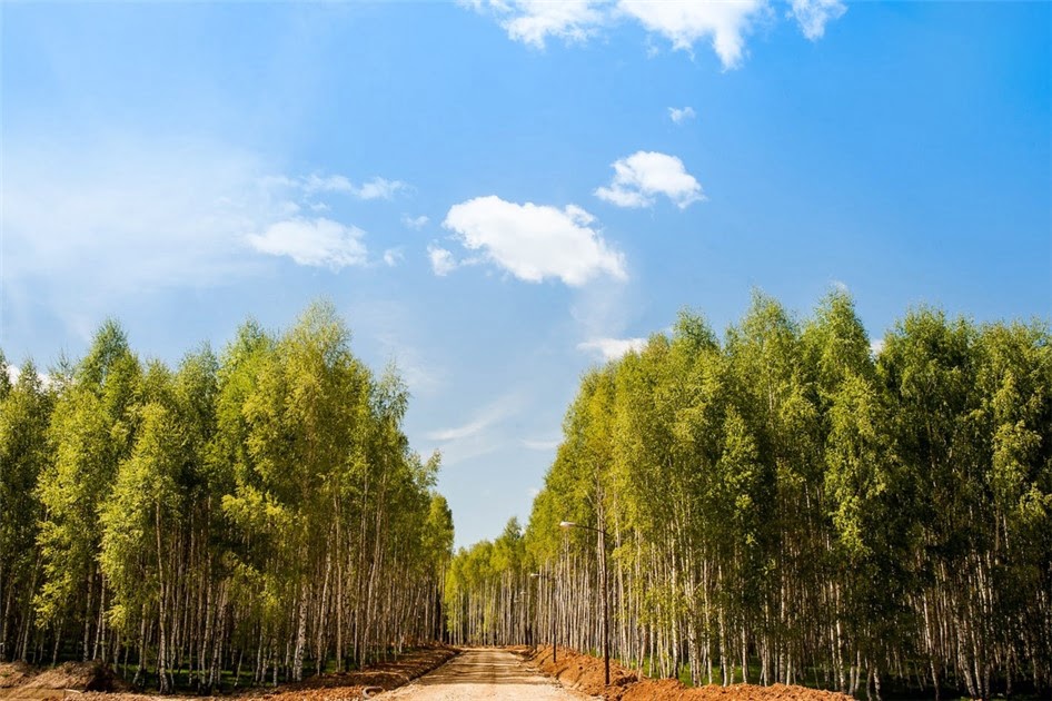 Коттеджный поселок «White Park»